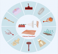 Graphical abstract: Advances in electrospun chitosan nanofiber biomaterials for biomedical applications