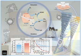 Graphical abstract: A curtain purification system based on a rabbit fur-based rotating triboelectric nanogenerator for efficient photocatalytic degradation of volatile organic compounds