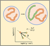 Graphical abstract: A fast and efficient way of obtaining the average molecular weight of block copolymers via DOSY