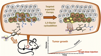 Graphical abstract: Therapeutic efficacy of 211At-radiolabeled 2,6-diisopropylphenyl azide in mouse models of human lung cancer