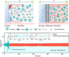 Graphical abstract: Dendrite-free deposition and side-reaction suppression of zinc anodes achieved via constructing synergistic interface buffer layers