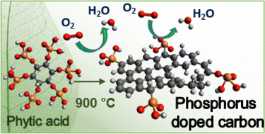 Graphical abstract: Catalyzing sustainability: phytic acid as a green precursor for metal-free carbon electrocatalysts in ORR