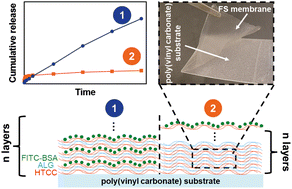 Graphical abstract: Marine-origin polysaccharides-based free-standing multilayered membranes as sustainable nanoreservoirs for controlled drug delivery