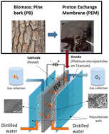 Graphical abstract: Fabrication of novel mixed matrix polymer electrolyte membranes (PEMs) intended for renewable hydrogen production via electrolysis application