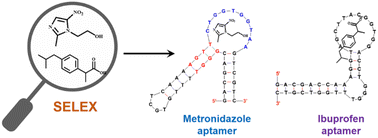 Graphical abstract: Selection of DNA aptamers for detecting metronidazole and ibuprofen: two common additives in soft drinks