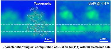 Graphical abstract: Exploring the characteristic “plug-in” configuration of an adsorbed starburst molecule