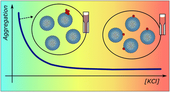 Graphical abstract: Cooperative aggregation of gold nanoparticles on phospholipid vesicles is electrostatically driven