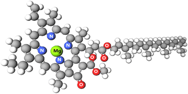 Graphical abstract: Theory for ultrafast energy transfer in photosynthesis