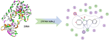 Graphical abstract: Insight into the inhibitory potential of metal complexes supported by (E)-2-morpholino-N-(thiophen-2-ylmethylene)ethanamine: synthesis, structural properties, biological evaluation and docking studies