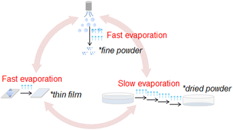 Graphical abstract: Smart synthesis of highly porous metal oxide powders with the self-assembly of amphiphilic organic compounds