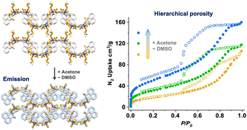 Graphical abstract: Solvent-induced structural transformation in a one-dimensional coordination polymer