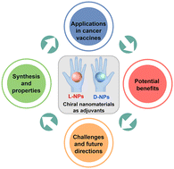 Graphical abstract: Chiral nanomaterials as vaccine adjuvants: a new horizon in immunotherapy