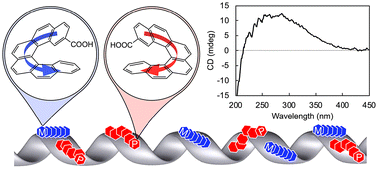 Graphical abstract: Hierarchical chirality observed from chiral supramolecular assembling of racemic and enantiopure helicene derivatives on silica nanohelix surfaces