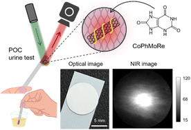 Graphical abstract: Enzyme-free optical detection of uric acid using corona phase molecular recognition in near-infrared fluorescent single-walled carbon nanotubes