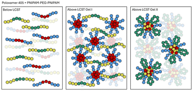 Graphical abstract: Two-stepping: sol–gel–gel transitions in a mixed thermoresponsive polymer system