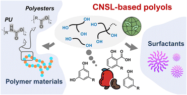 Graphical abstract: Polyols from cashew nut shell liquid (CNSL): corner-stone building blocks for cutting-edge bio-based additives and polymers
