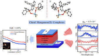 Graphical abstract: Highly efficient circularly polarized electroluminescence based on chiral manganese(ii) complexes