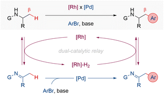 Graphical abstract: Dual relay Rh-/Pd-catalysis enables β-C(sp3)–H arylation of α-substituted amines