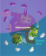 Graphical abstract: Establishing ultraporous permanently polarized hydroxyapatite as a green and highly efficient catalyst for carbon dioxide conversion in continuous flow under mild conditions