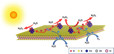 Graphical abstract: Achieving long-lived photogenerated holes in ZnIn2S4 loaded with CoOx clusters for enhanced photocatalytic pure water splitting