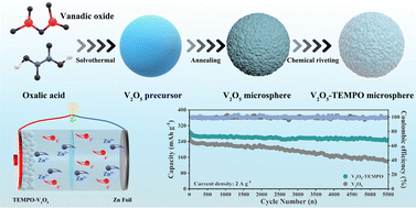 Graphical abstract: Design and synthesis of organic radical functionalized vanadium pentoxide towards long-life aqueous zinc ion batteries