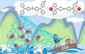 Graphical abstract: Conjugated microporous polytriphenylamine as a high-performance anion-capture electrode for hybrid capacitive deionization with ultrahigh areal adsorption capacity