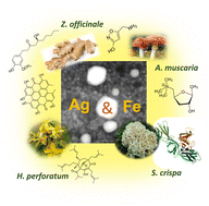 Graphical abstract: Designing iron oxide & silver nanocomposites with phyto- and fungo chemicals for biomedicine: lessons learned