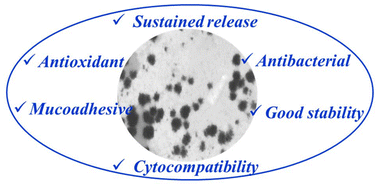 Graphical abstract: Multifunctional erythromycin-loaded liposomes: a methodological optimization for enhanced mucoadhesion, antioxidant activity, and biocompatibility