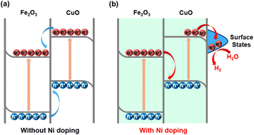 Graphical abstract: Surface state activation driving charge separation via Z-scheme Fe2O3/CuO heterojunctions for photocatalytic H2 evolution