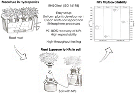 Graphical abstract: A standardized soil-based biotest to investigate the phytoavailability of nanoplastics