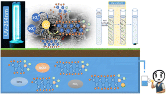 Graphical abstract: Chitosan-modified biochar enhanced PFAS degradation in UV/sulfite: impact of environmental conditions and applicability across different PFAS