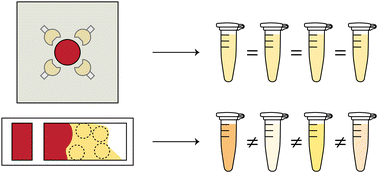 Graphical abstract: Multi-zone patterning enables hematocrit-independent precision metering of dried plasma for decentralized diagnostics