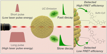 Graphical abstract: Influence of excitation pulse duration on the efficiency of upconversion nanoparticle-based FRET