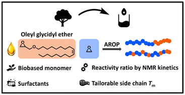 Graphical abstract: Biobased oleyl glycidyl ether: copolymerization with ethylene oxide, postmodification, thermal properties, and micellization behavior