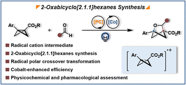 Graphical abstract: Photocatalytic synthesis of 2-oxabicyclo[2.1.1]hexanes: cobalt-enhanced efficiency