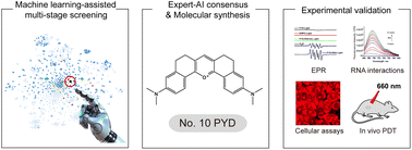 Graphical abstract: Data-driven discovery of near-infrared type I photosensitizers for RNA-targeted tumor photodynamic therapy