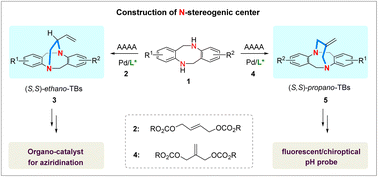 Graphical abstract: Catalytic enantioselective construction of two N-stereogenic centers of ethano- and propano-Tröger's bases