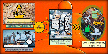 Graphical abstract: Fractionation and catalytic upgradation of crude tall oil into sustainable transportation fuels via blending and co-refining