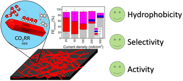 Graphical abstract: Five-fold twinned copper nanowire gas diffusion electrodes for electrochemical CO2 reduction with enhanced C2 product selectivity and stability