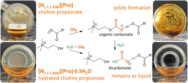 Graphical abstract: CO2 capture by carboxylate ionic liquids: fine-tuning the performance by altering hydrogen bonding motifs
