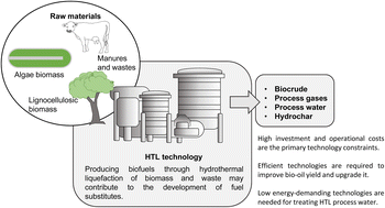 Graphical abstract: Reducing fossil fuel demand by using biofuels as an alternative hydrothermal liquefaction is a promising process for transforming biomass into drop-in fuels