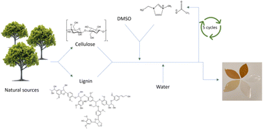 Graphical abstract: Fabricating lignocellulosic films as potential biobased plastics