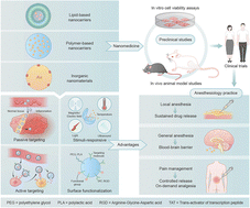 Graphical abstract: Nano-enabled delivery of anesthetics: mechanistic insights, technological advances and translational challenges