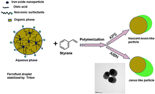 Graphical abstract: Anisotropic magnetic microparticles from ferrofluid emulsion