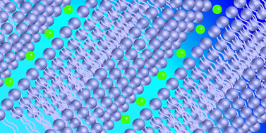 Graphical abstract: Following the structural changes during zinc-induced crystallization of charged membranes using time-resolved solution X-ray scattering