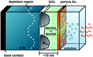 Graphical abstract: Junction behavior of n-Si photoanodes protected by thin Ni elucidated from dual working electrode photoelectrochemistry