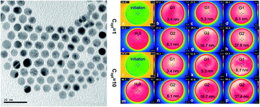 Graphical abstract: Diameter effect of gold nanoparticles on photothermal conversion for solar steam generation