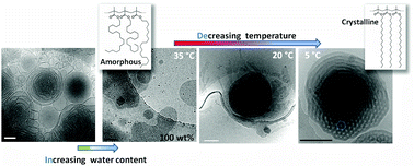 Graphical abstract: The evolution of bicontinuous polymeric nanospheres in aqueous solution