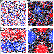 Graphical abstract: Dynamics of inert spheres in active suspensions of micro-rotors