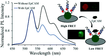 Graphical abstract: Detection of a cancer biomarker protein on modified cellulose paper by fluorescence using aptamer-linked quantum dots